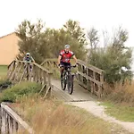 Delfini Llido Degli Estensi