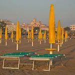Delfini