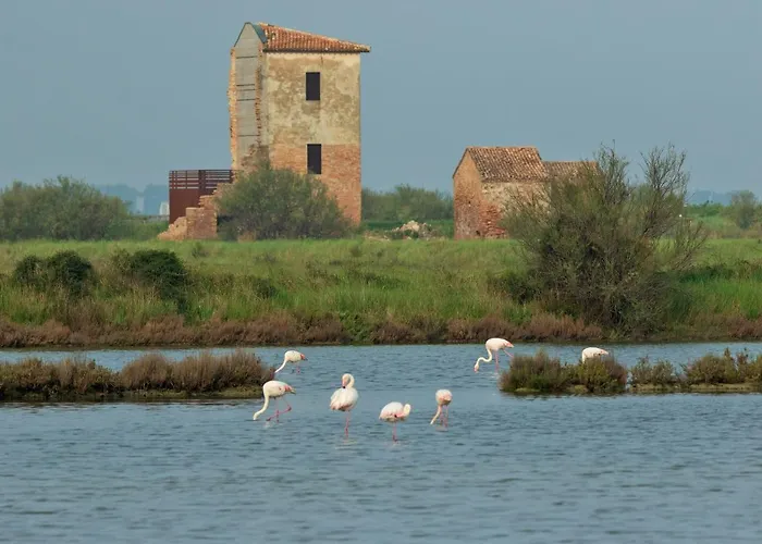 Delfini Apartment Llido Degli Estensi