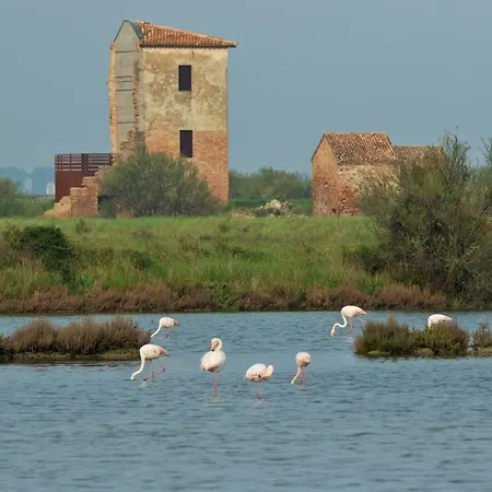 Delfini Daire Llido Degli Estensi