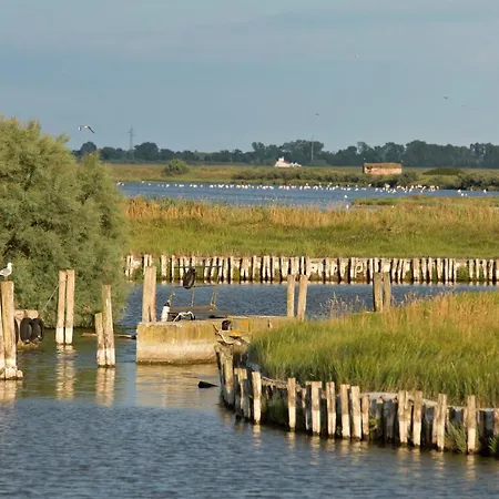 Delfini Daire Llido Degli Estensi