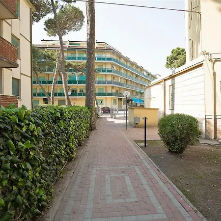 Delfini Llido Degli Estensi