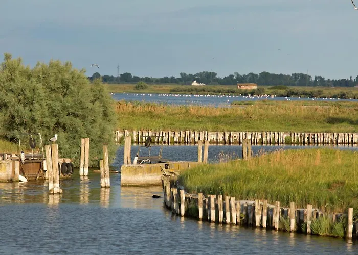 Delfini Lägenhet Llido Degli Estensi