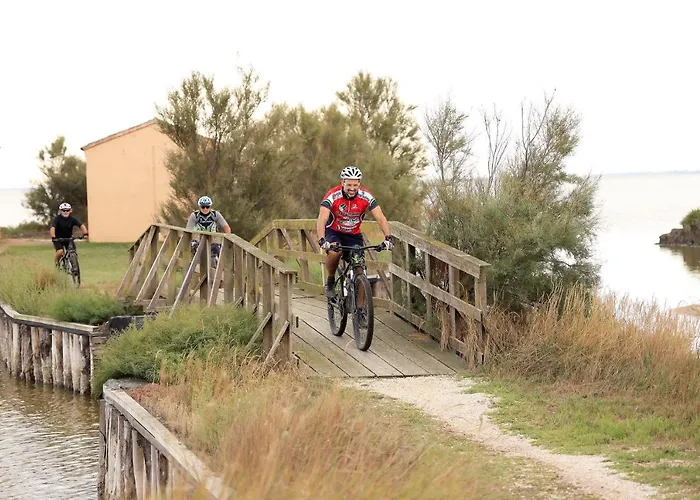 Delfini Llido Degli Estensi